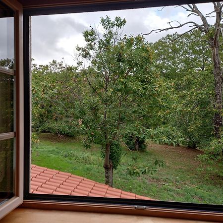 O Bilho Bed & Breakfast Vinhais Exterior photo