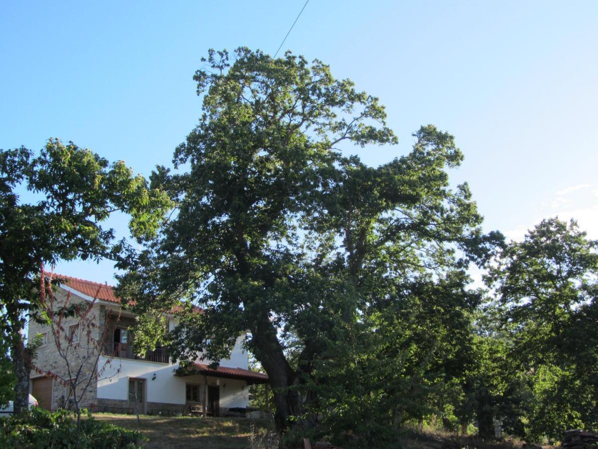 O Bilho Bed & Breakfast Vinhais Exterior photo