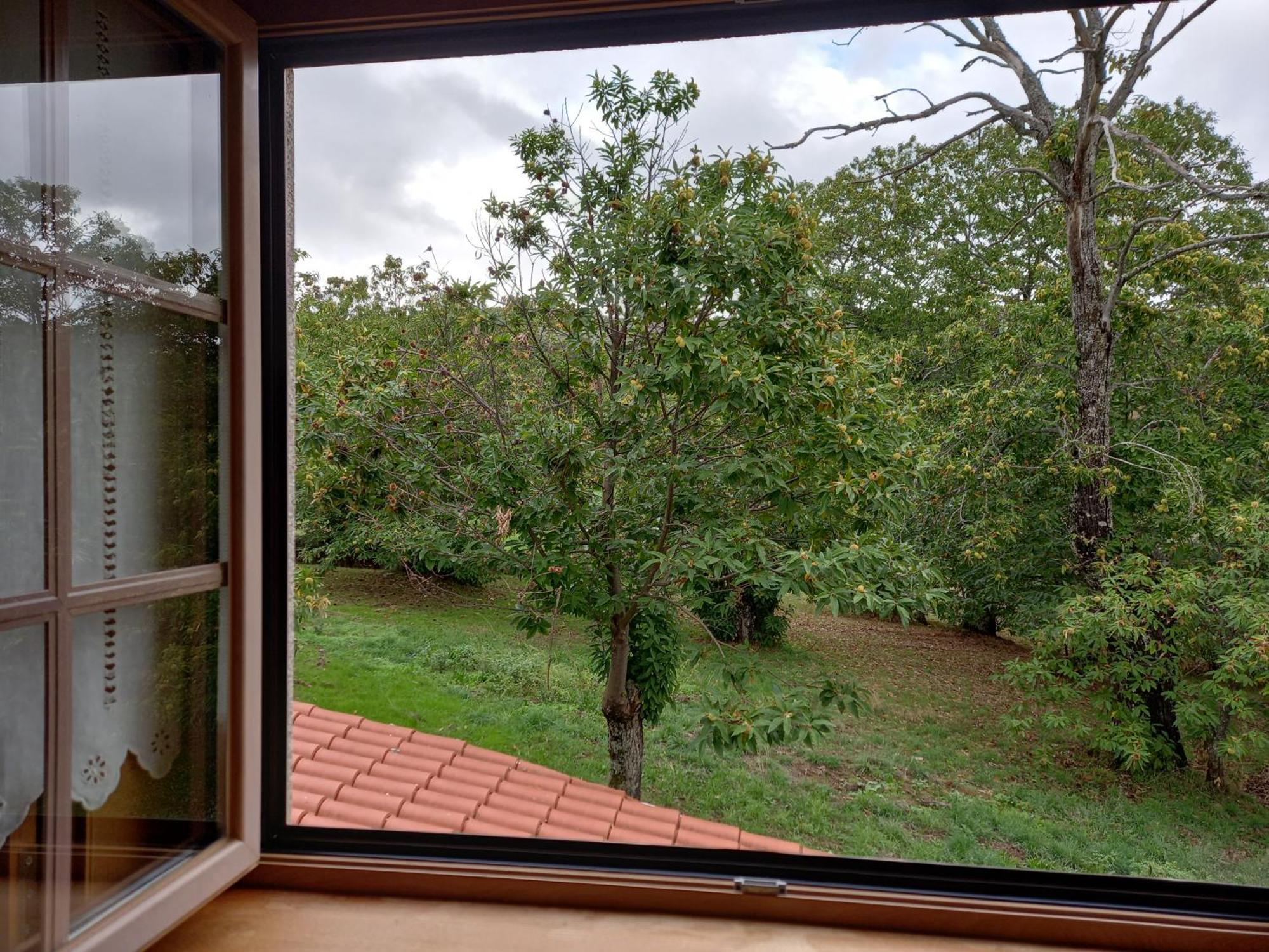 O Bilho Bed & Breakfast Vinhais Exterior photo